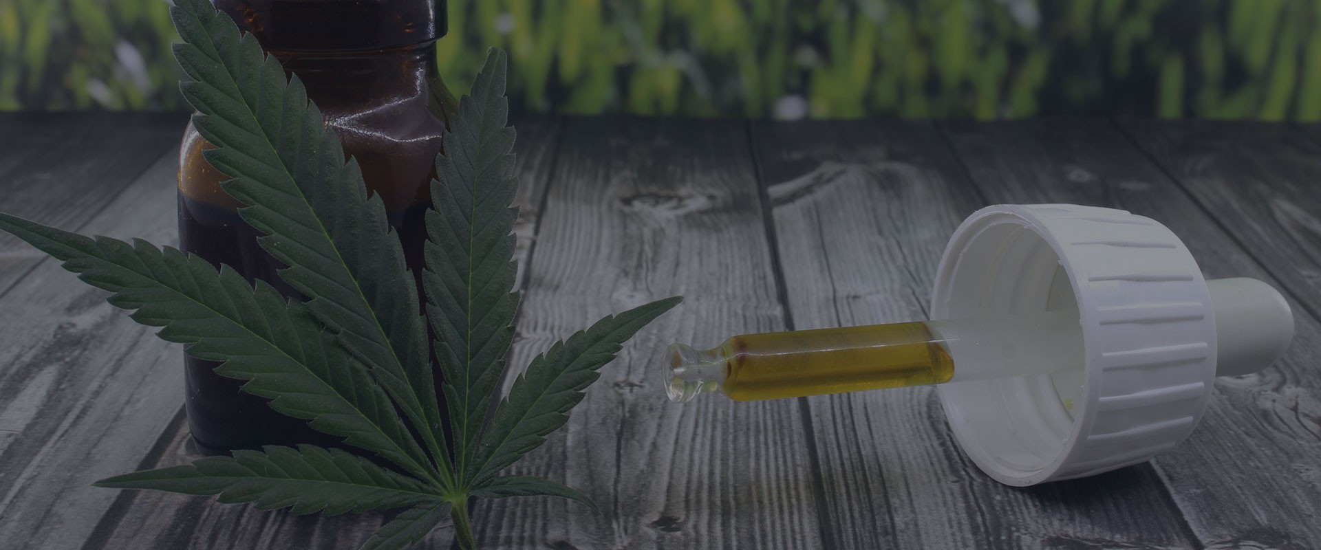 buy medical cannabis online